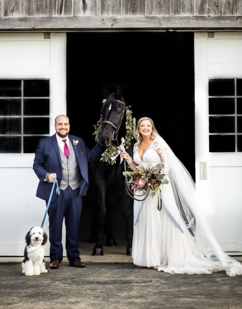 Horse wedding photo